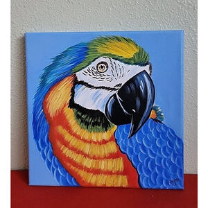 Blue and gold macaw parrot painting ,signed. 10" X 10"